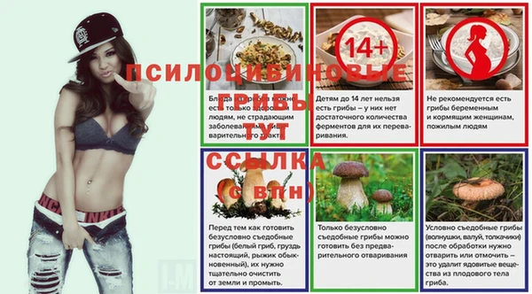 амф Абаза