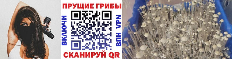 Псилоцибиновые грибы мухоморы  Скопин 